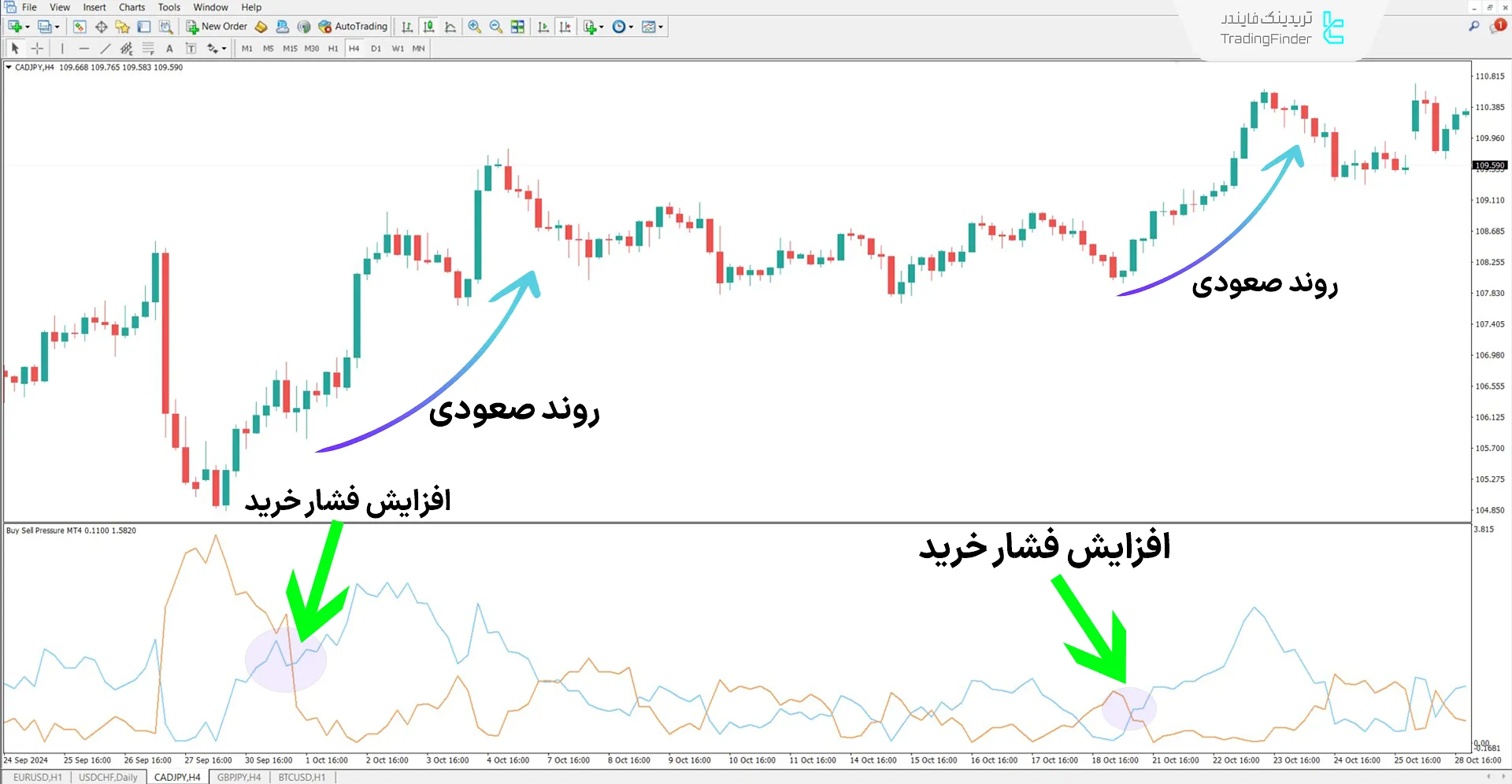 دانلود اندیکاتور فشار خرید و فروش (Buy Sell Pressure) در متاتریدر 4 - رایگان 1