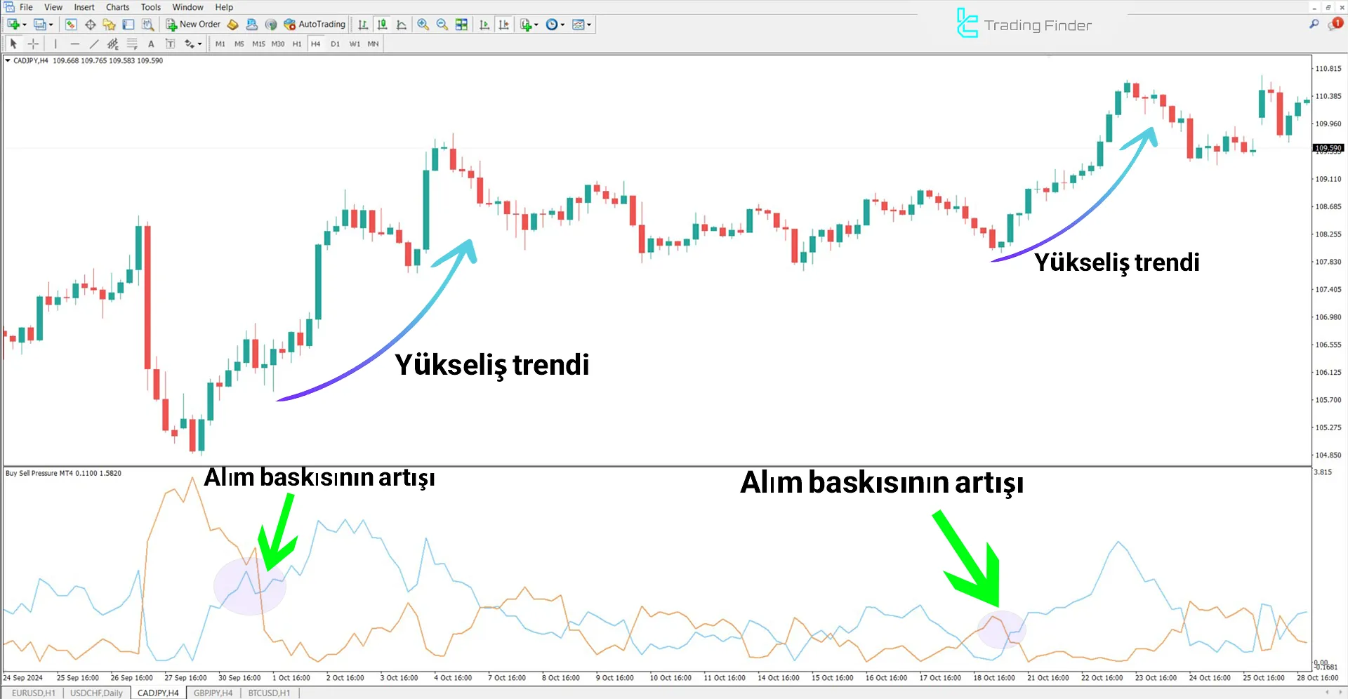 Buy Sell Pressure Göstergesini MT4 için İndirme - Ücretsiz - [TradingFinder] 1