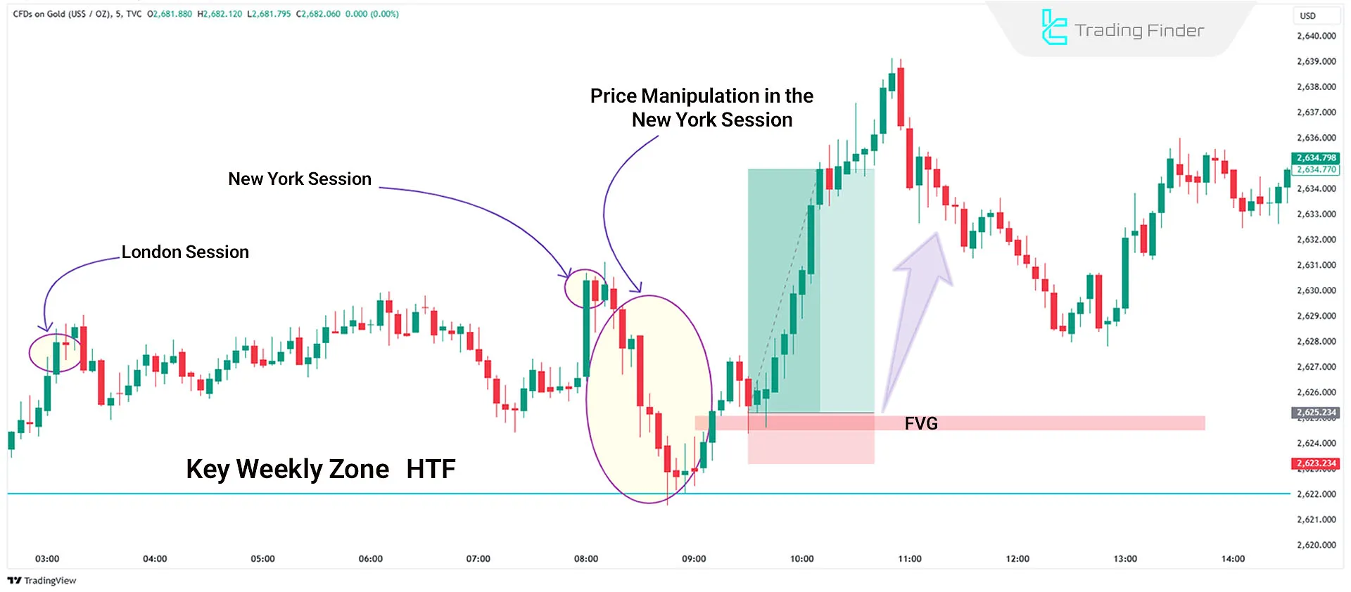 Example of Bullish NY Manipulation in Daily Profiles