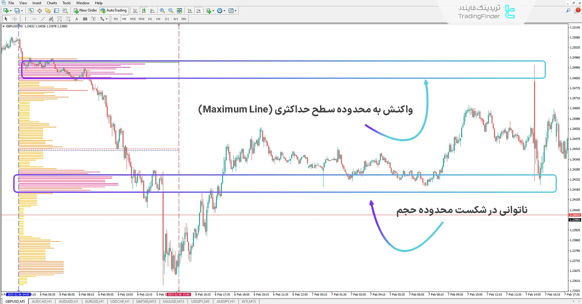 دانلود اندیکاتور پروفایل حجم محدوده (Range Volume Profile) در متاتریدر 4 - رایگان - [تریدینگ فایندر] 2