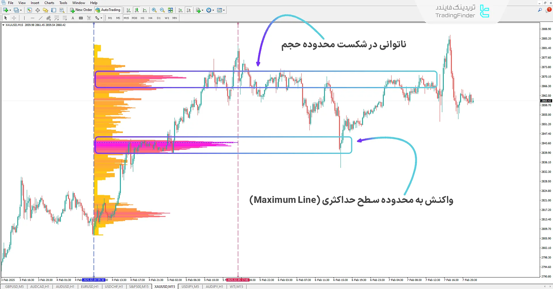 دانلود اندیکاتور پروفایل حجم محدوده (Range Volume Profile) در متاتریدر 4 - رایگان - [تریدینگ فایندر] 1