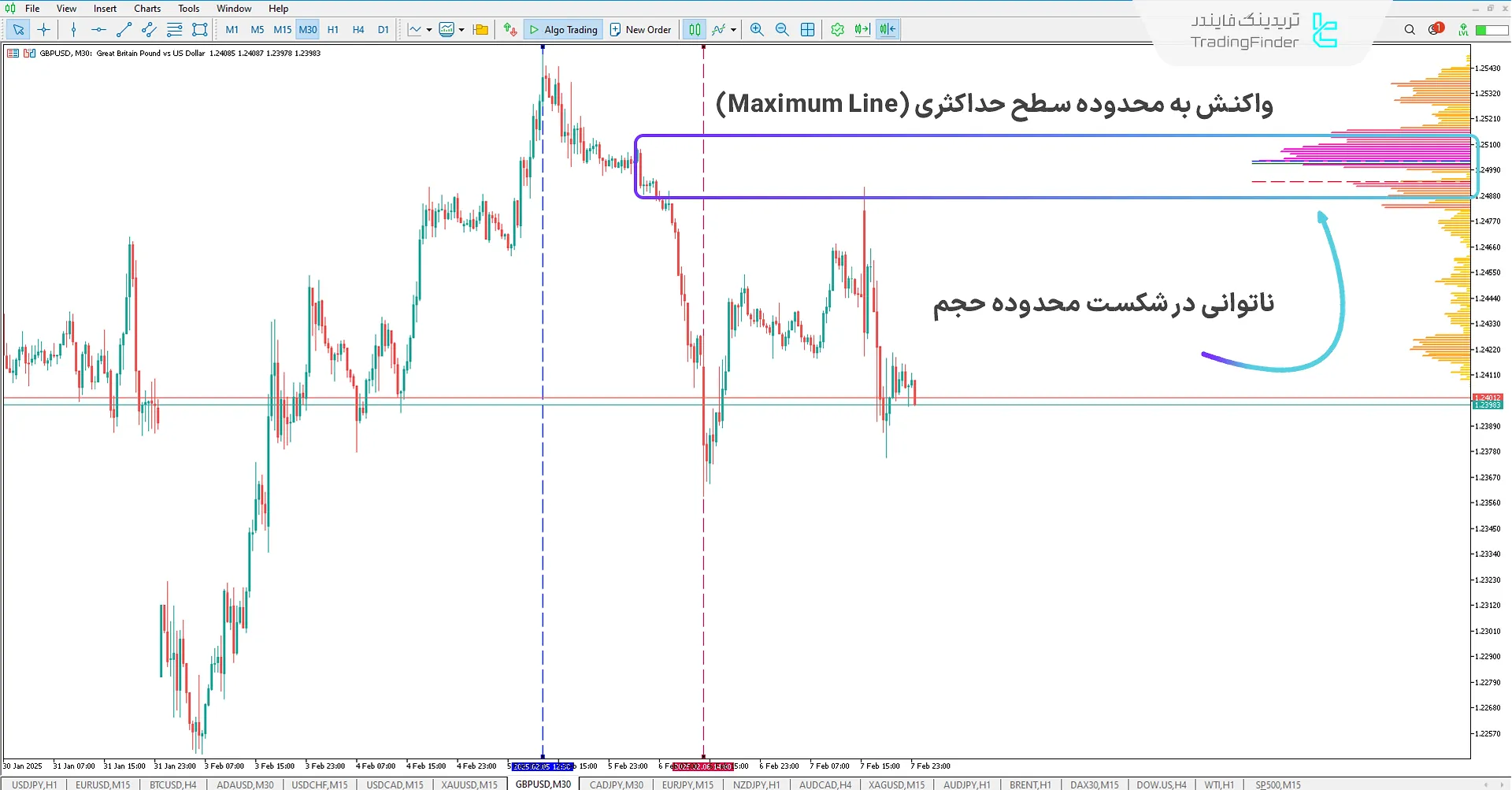 دانلود اندیکاتور پروفایل حجم محدوده (Range Volume Profile) در متاتریدر 5 - رایگان - [تریدینگ فایندر] 2