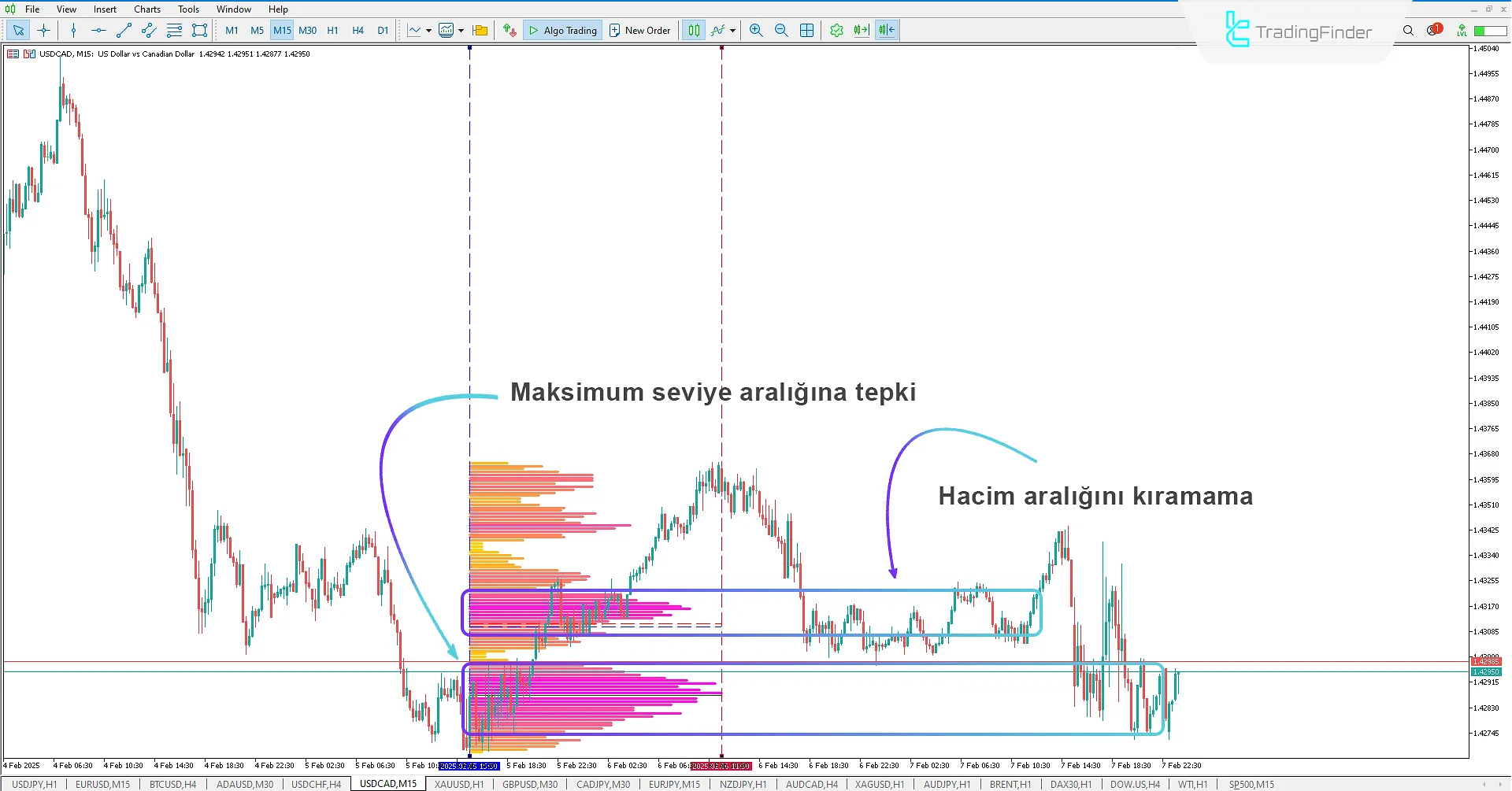 Range Volume Profile Göstergesi MetaTrader 5 için İndir - Ücretsiz - [TradingFinder] 1