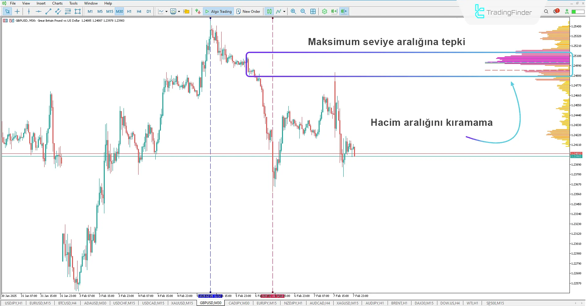 Range Volume Profile Göstergesi MetaTrader 5 için İndir - Ücretsiz - [TradingFinder] 2