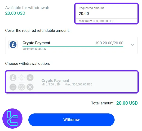 FXPro ERC-20 payment page