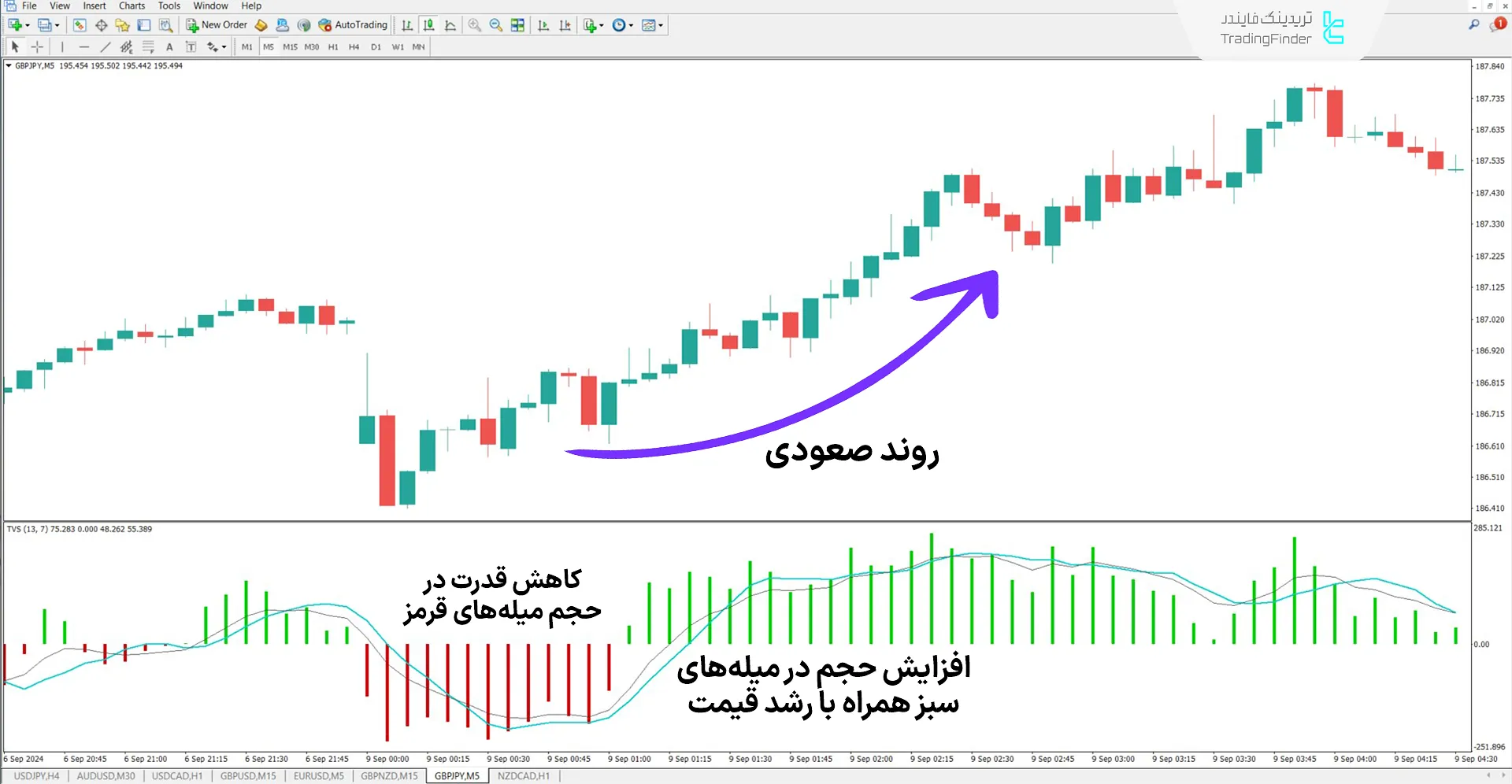 دانلود اندیکاتور حجم تقسیم‌شده بر اساس زمان (Time Segmented Volume) متاتریدر 4 1