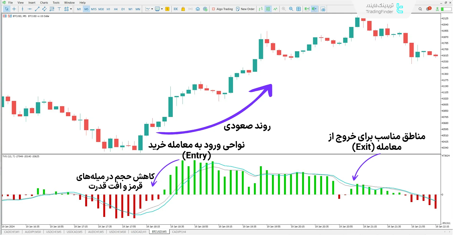 دانلود اندیکاتور حجم تقسیم‌شده بر اساس زمان (Time Segmented Volume) متاتریدر 5 1