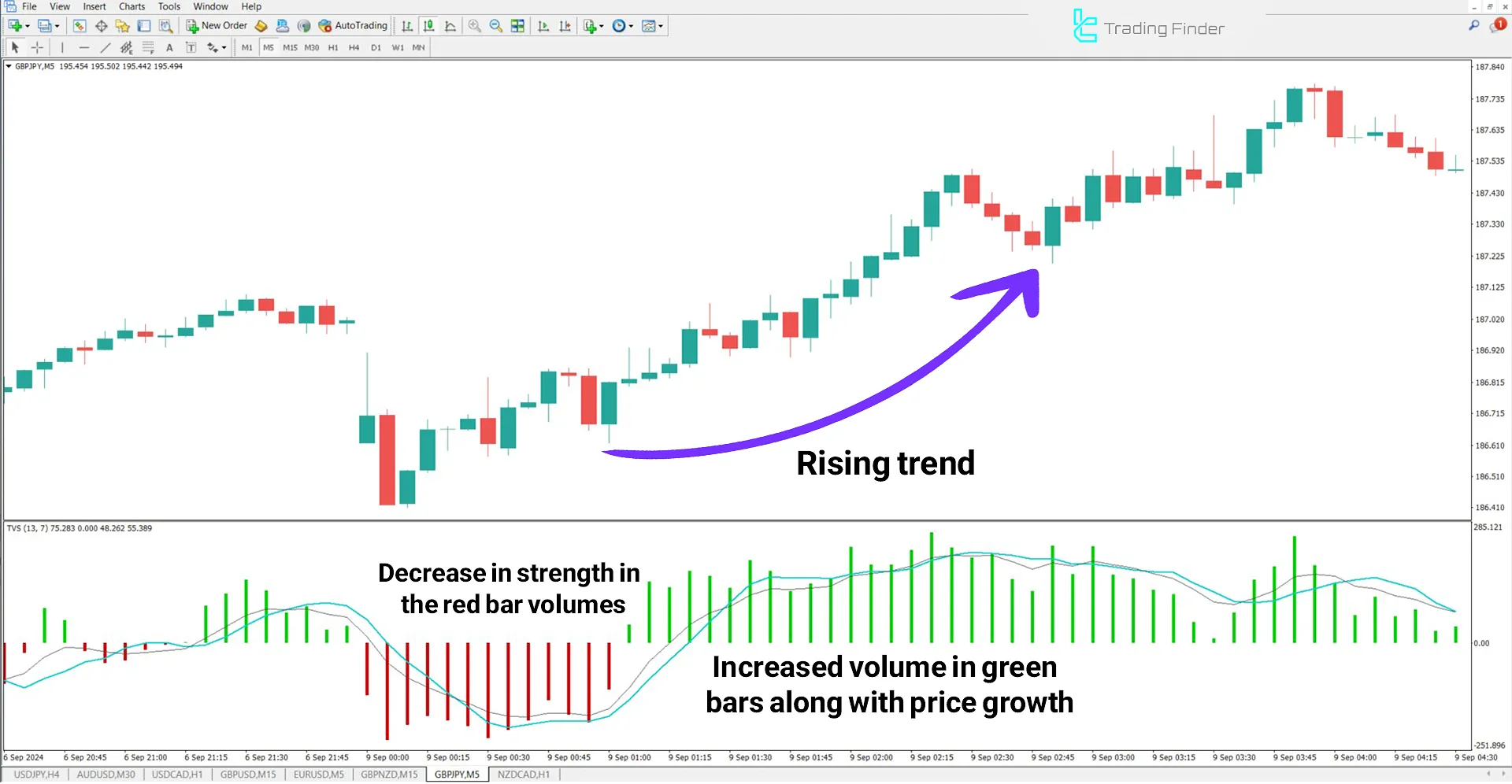 Time Segmented Volume Indicator for MetaTrader 4 Download - Free - [TFlab] 1