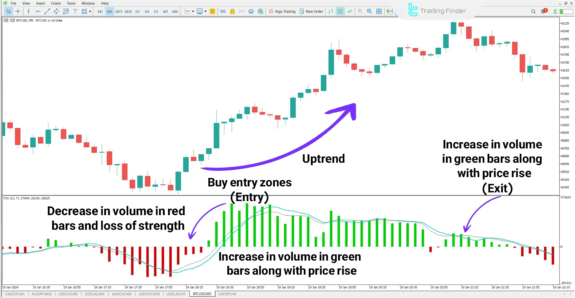 Time Segmented Volume Indicator for MetaTrader 5 Download - Free - [TFlab] 1