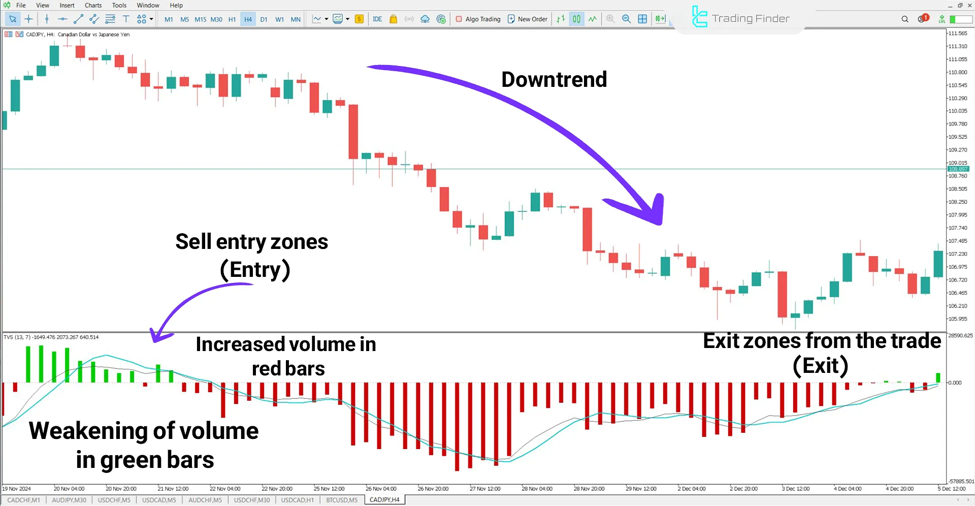 Time Segmented Volume Indicator for MetaTrader 5 Download - Free - [TFlab] 2