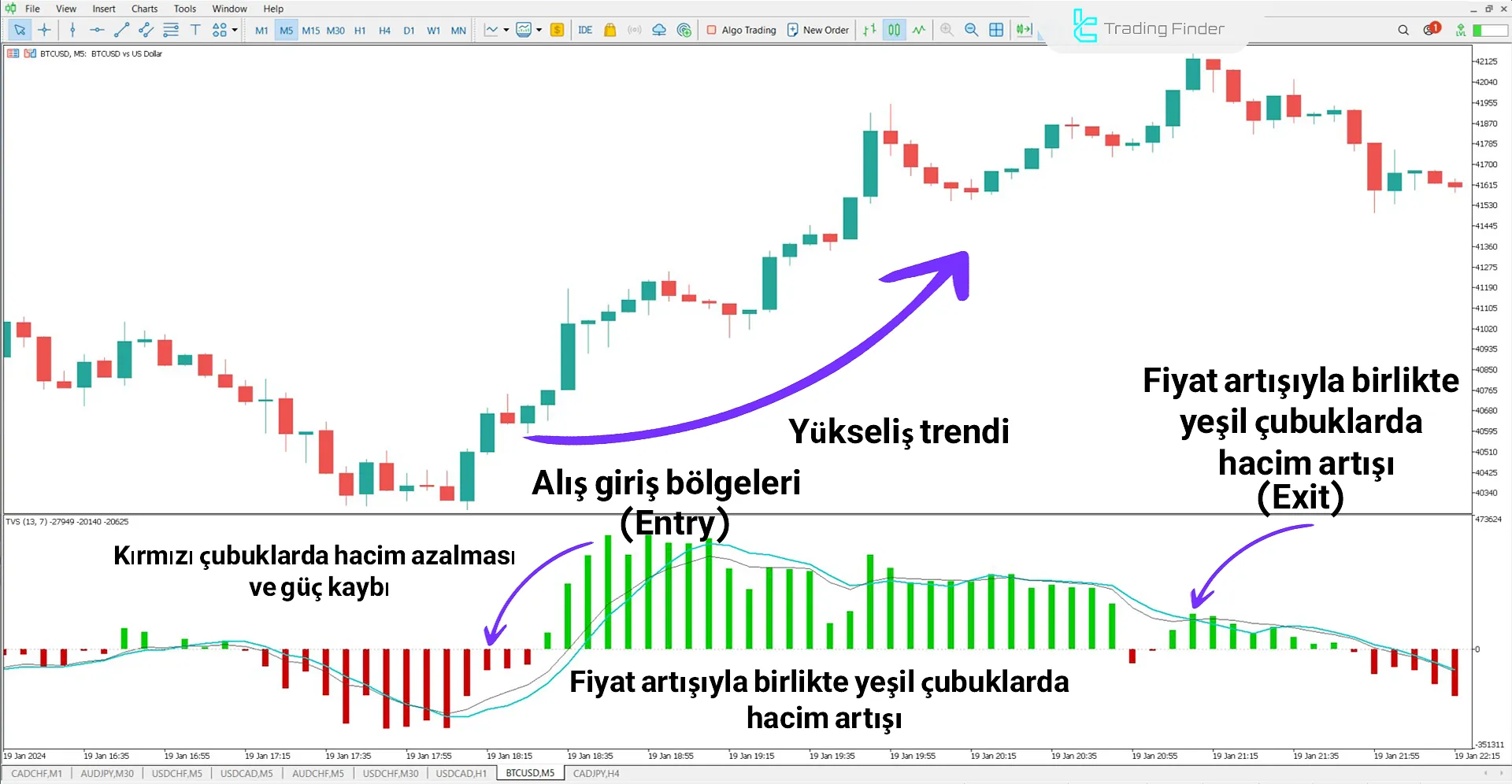 Time Segmented Volume Göstergesi MetaTrader 5 için İndir - Ücretsiz - [TFlab] 1