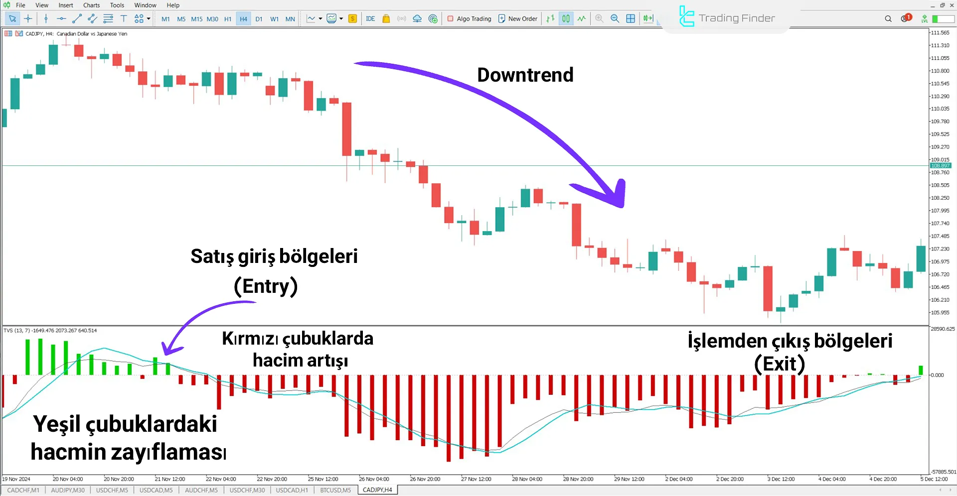 Time Segmented Volume Göstergesi MetaTrader 5 için İndir - Ücretsiz - [TFlab] 2