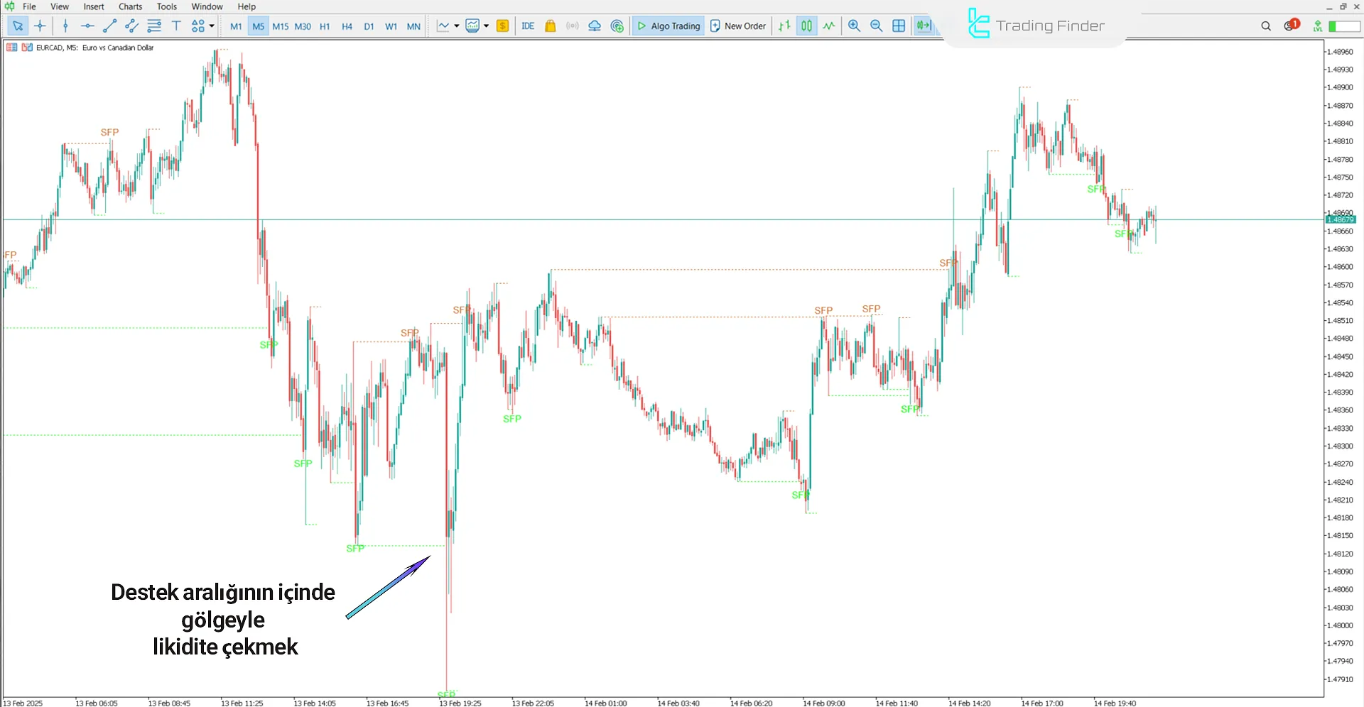 Swing Failure Pattern (SFP) ICT Göstergesi MT5 - [TradingFinder] 1