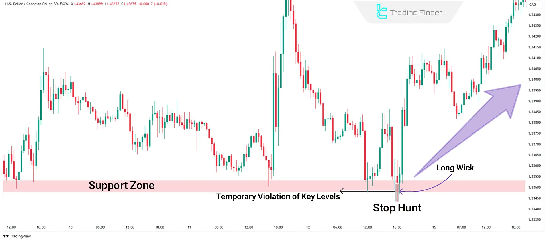 Stop Hunting Signs on the Chart