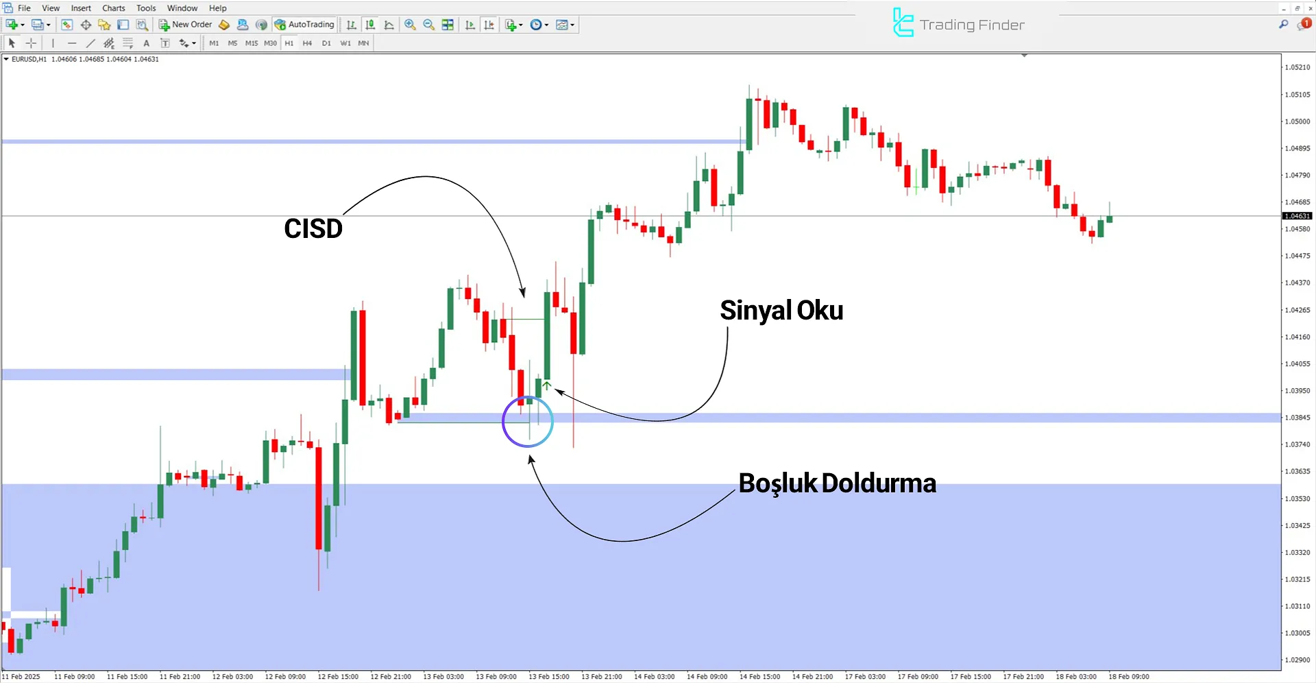 CISD - CSD + Opening Gaps Göstergesi Meta Trader 4 İndir - [TradingFinder] 1