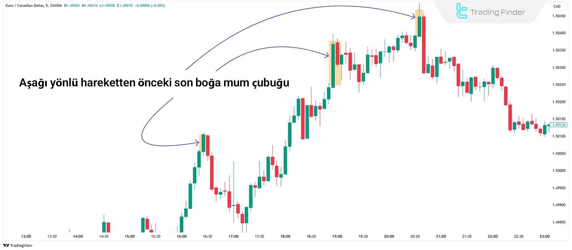 Ayı Yeniden Kazanılan Emir Bloğunun İşlevselliği