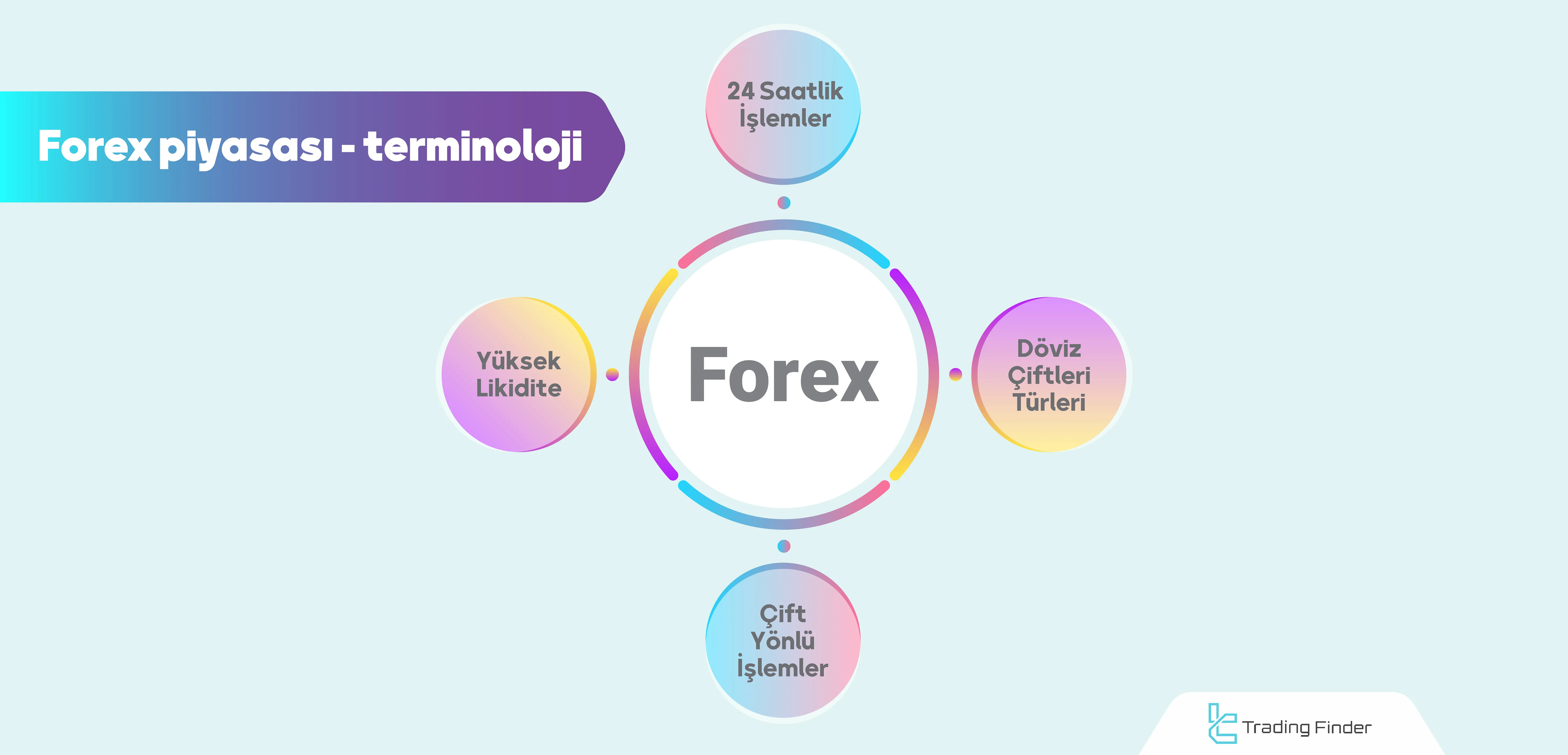 Forex piyasası ve şartları; Ortak Terimler ve Özellikler