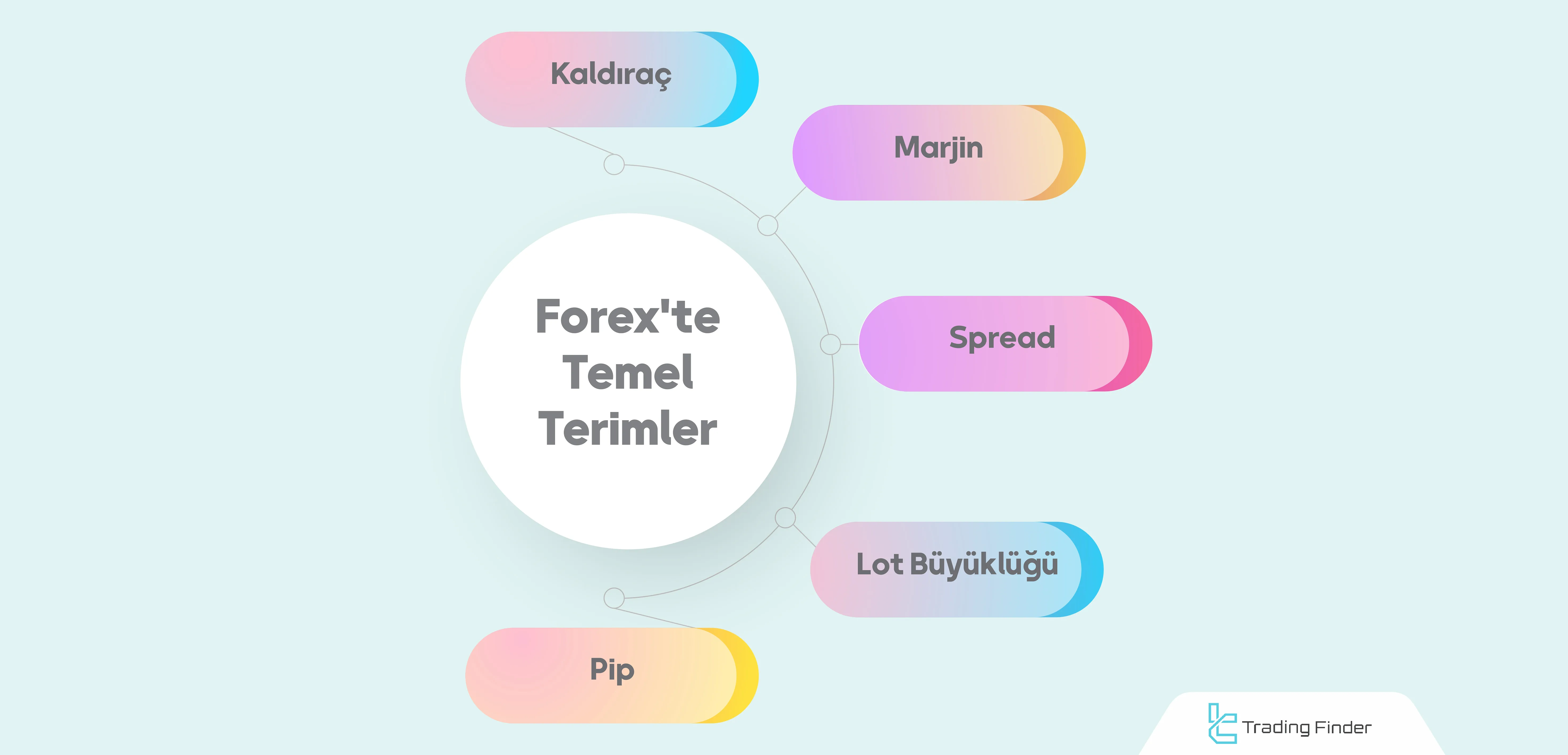 Forex'te Temel Terimler