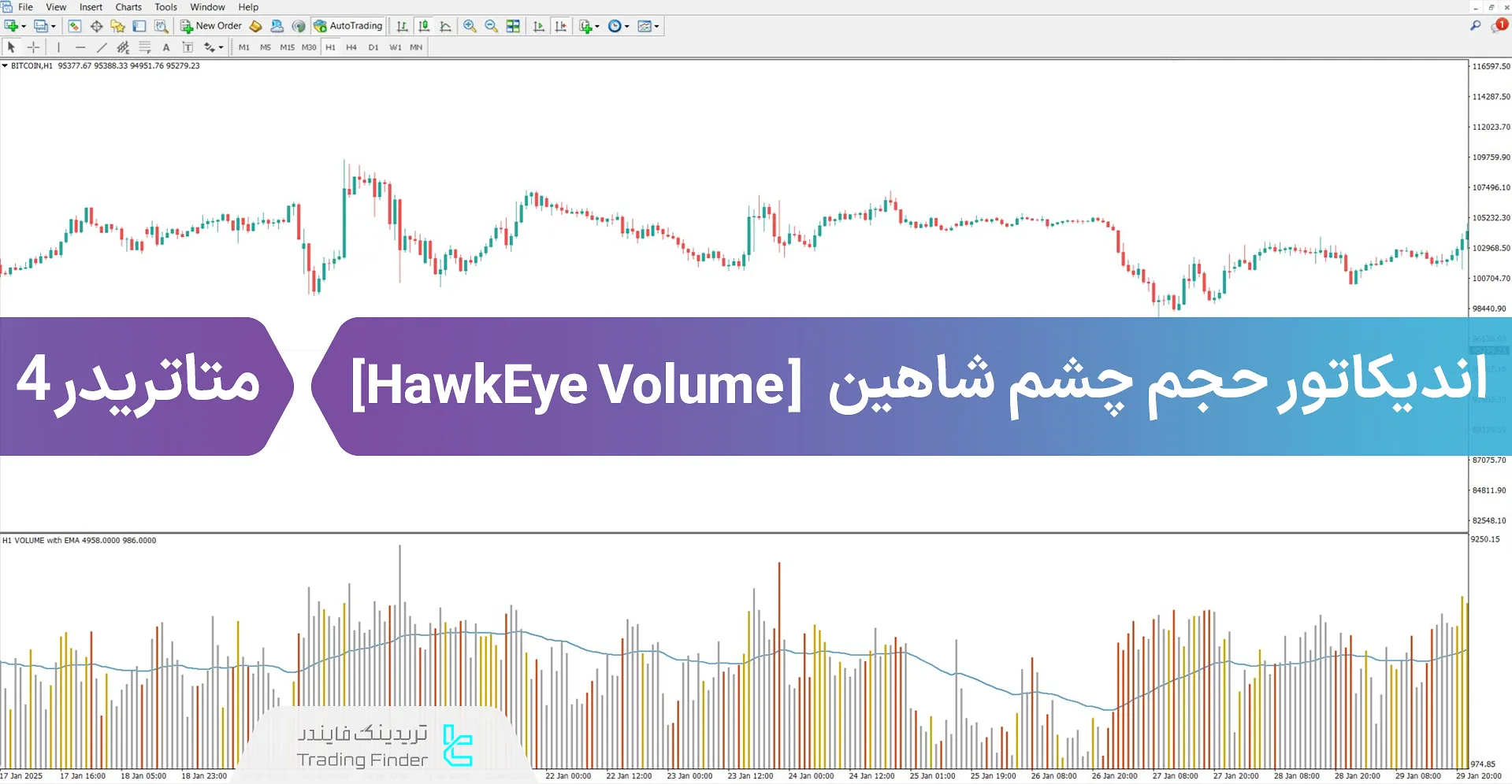 دانلود اندیکاتور حجم چشم شاهین (HawkEye Volume) در متاتریدر 4 - [تریدینگ فایندر]