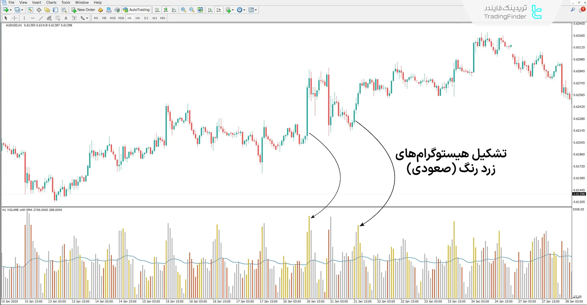 دانلود اندیکاتور حجم چشم شاهین (HawkEye Volume) در متاتریدر 4 - [تریدینگ فایندر] 1