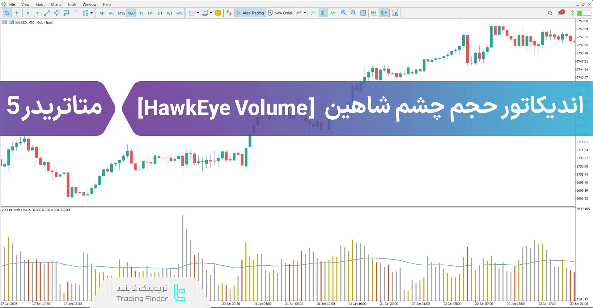 دانلود اندیکاتور حجم چشم شاهین (HawkEye Volume) در متاتریدر 5 - [تریدینگ فایندر]