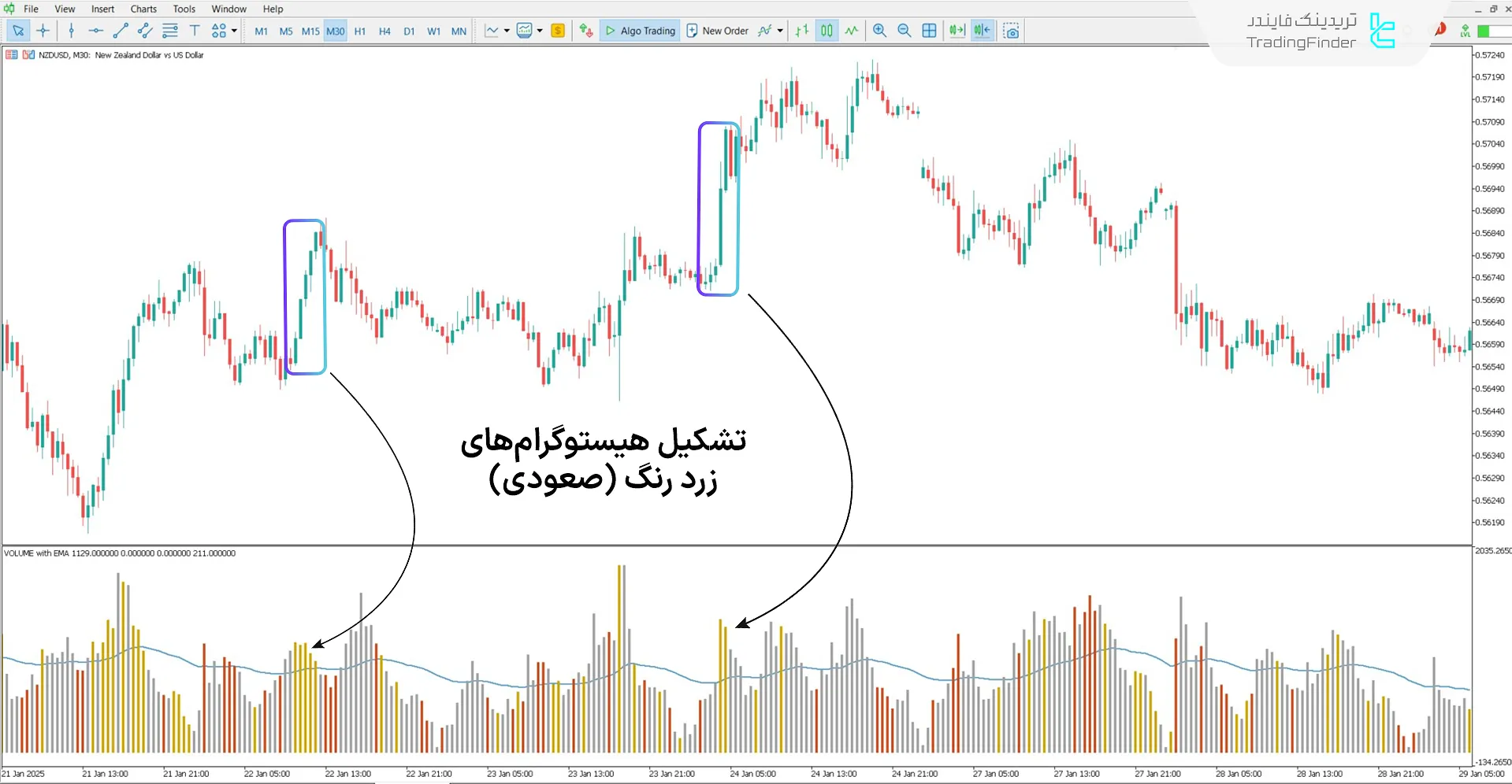 دانلود اندیکاتور حجم چشم شاهین (HawkEye Volume) در متاتریدر 5 - [تریدینگ فایندر] 1