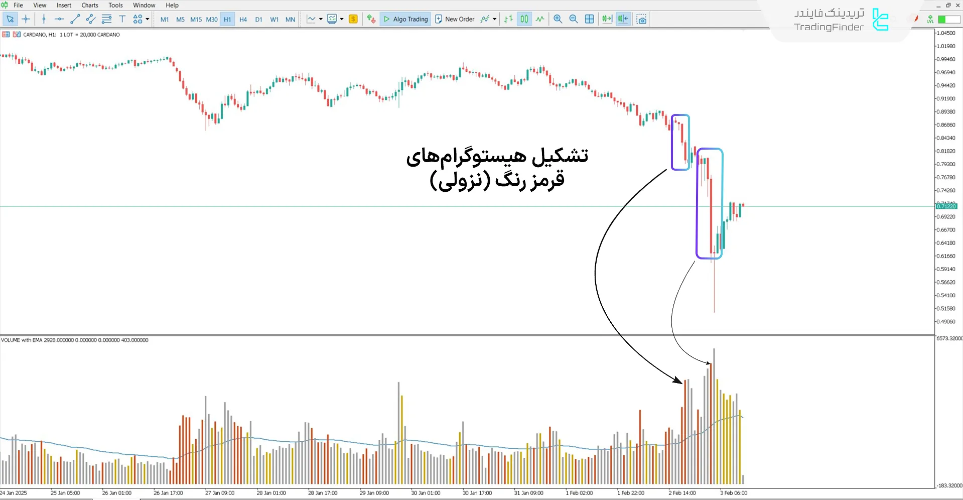 دانلود اندیکاتور حجم چشم شاهین (HawkEye Volume) در متاتریدر 5 - [تریدینگ فایندر] 2