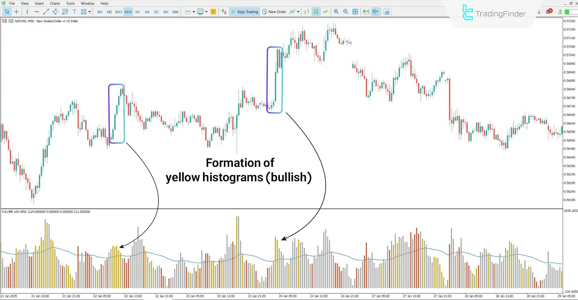 HawkEye Volume Indicator for MT5 Download – Free - [TradingFinder] 1