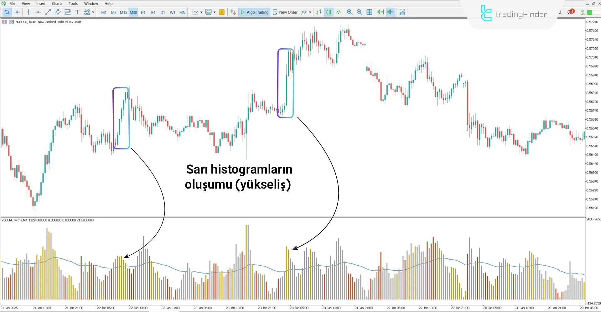 HawkEye Volume Göstergesi MT5 için İndir - Ücretsiz - [TradingFinder] 1