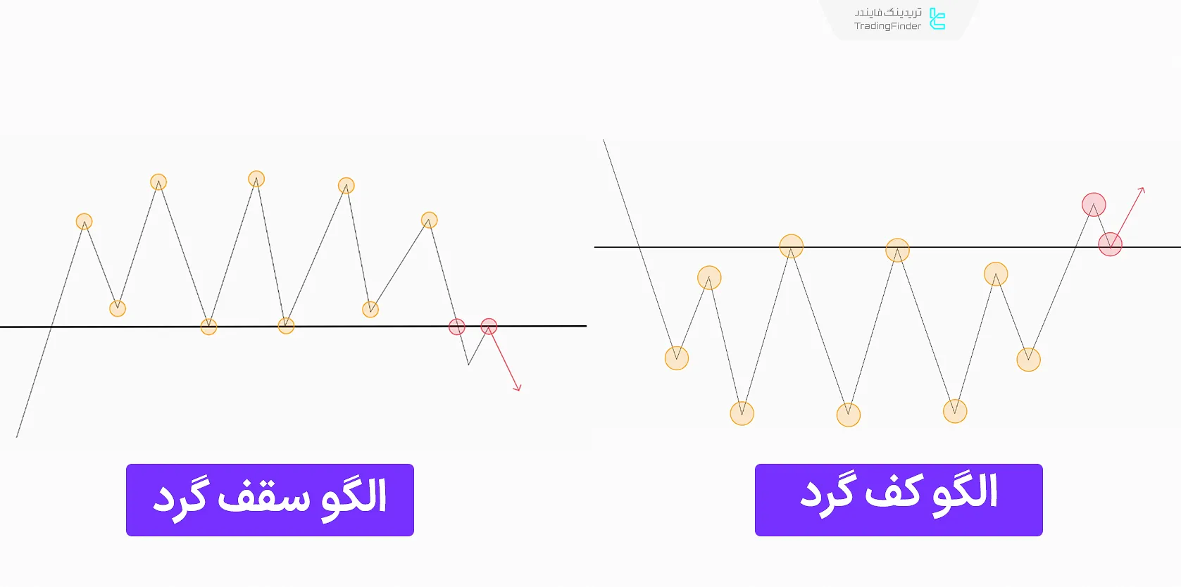 الگو سقف و کف گرد