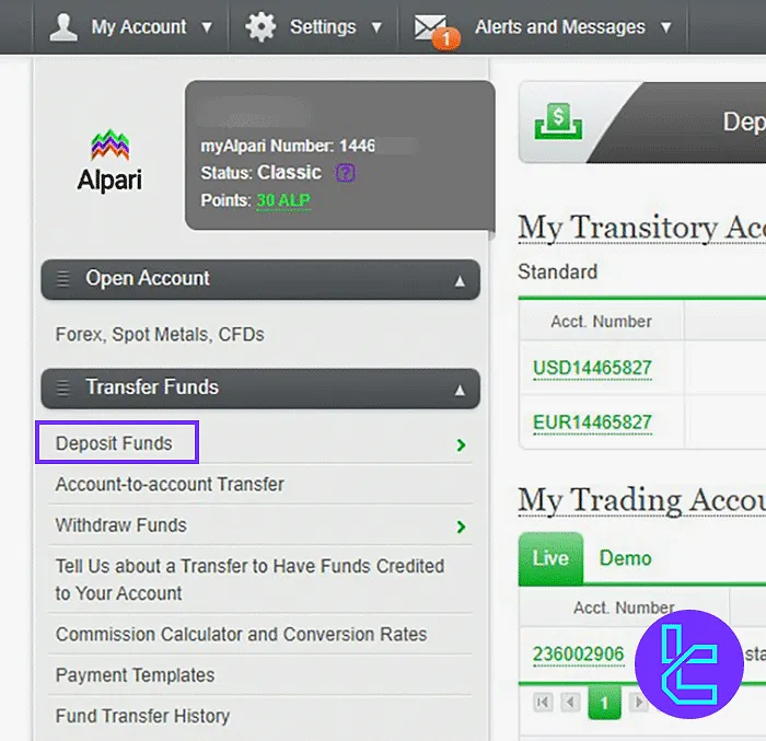 Accessing Alpari Broker Deposit Section for Tether ERC20 Transfer