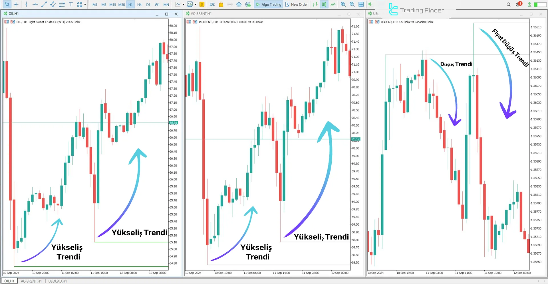 SMT Divergence Oil Göstergesi İçin MetaTrader 5 için İndirme - Ücretsiz 1