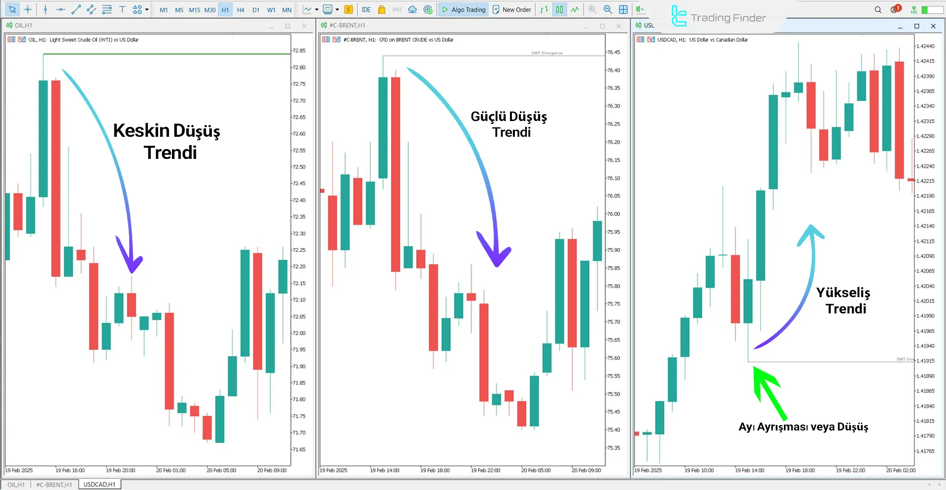 SMT Divergence Oil Göstergesi İçin MetaTrader 5 için İndirme - Ücretsiz 2