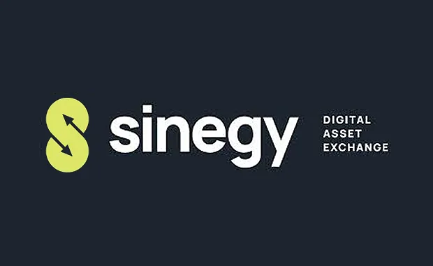 Sinegy Review 2025