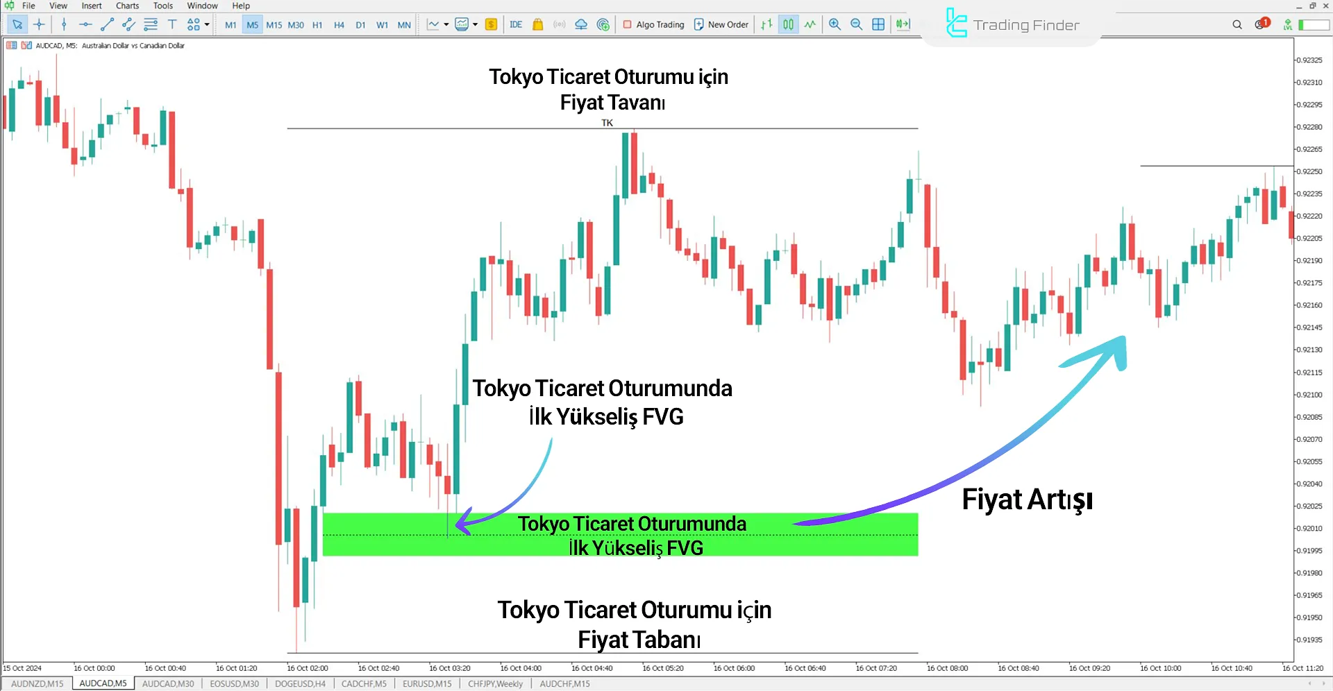 FVG Session intraday ICT Göstergesi MetaTrader 5 için İndir - Ücretsiz 1