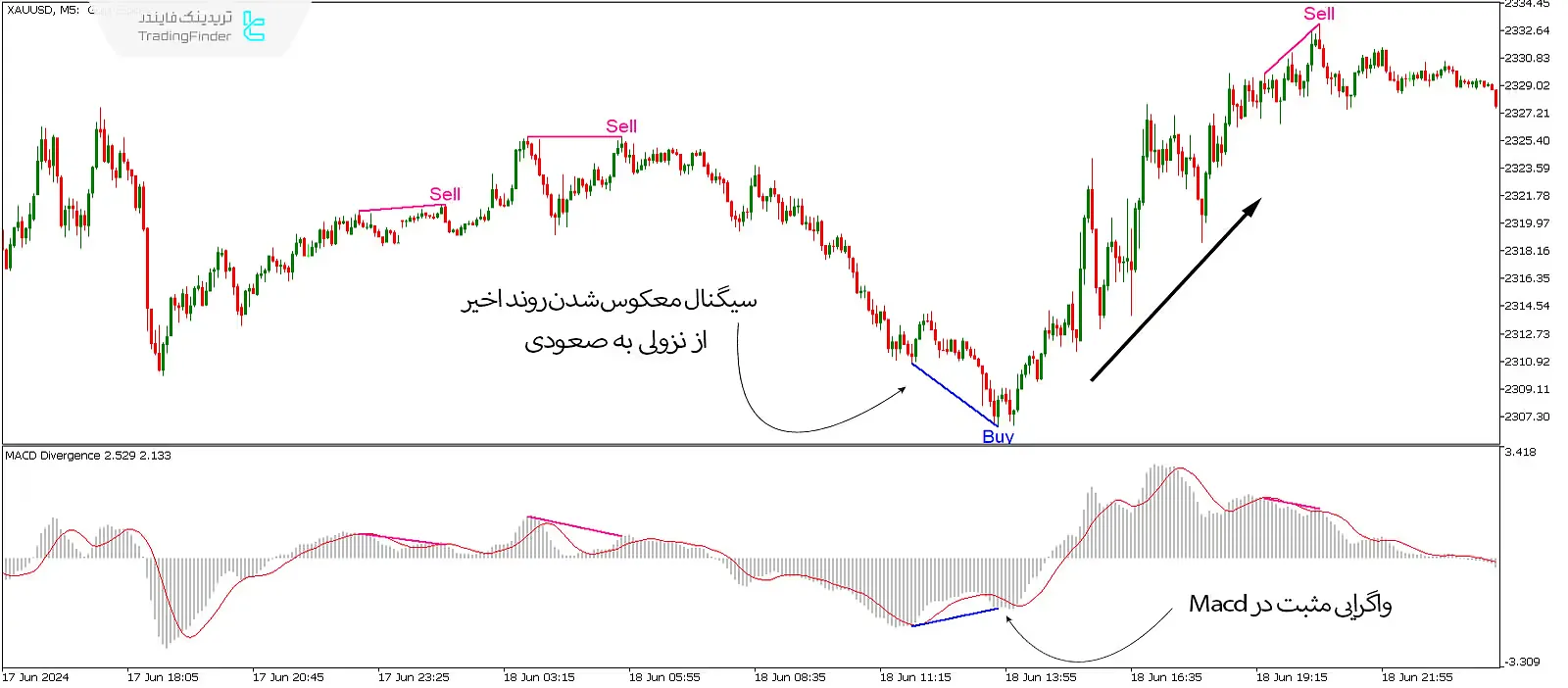 دانلود اندیکاتور واگرایی خودکار مکدی (Macd Divergence) در متاتریدر 5 - رایگان - [تریدینگ فایندر] 2