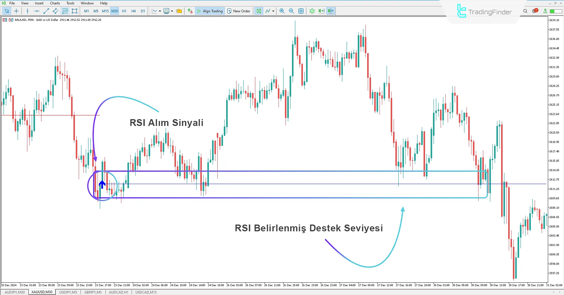 İlk RSI Seviyesi Göstergesi MetaTrader 5 İndir - Ücretsiz - [TradingFinder] 1