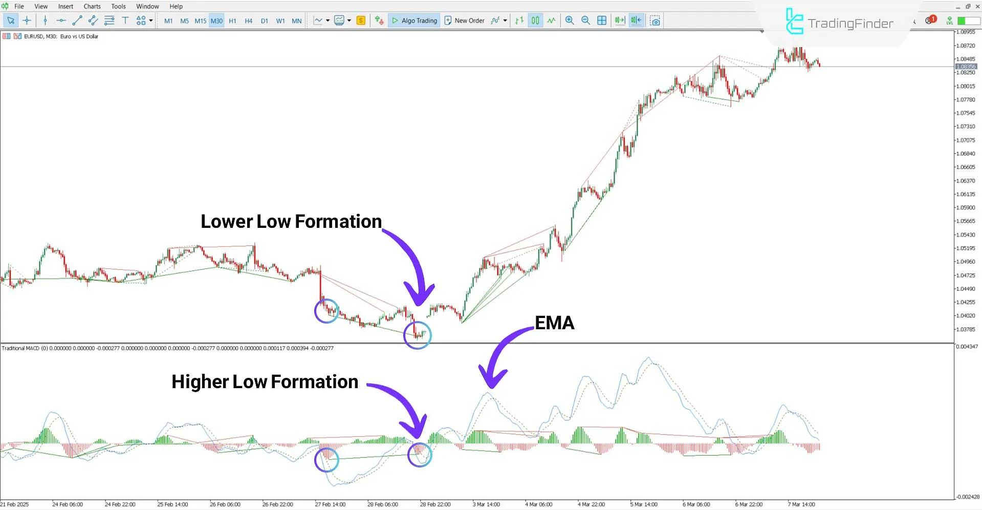 Traditional MACD Indicator for MT5 Download – Free - [TradingFinder] 1