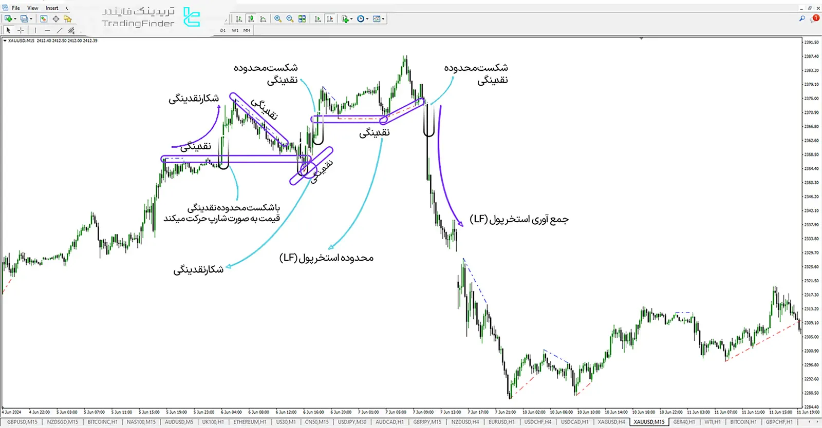 دانلود اندیکاتور جستوجوگر نقدینگی سطوح (Liquidity Finder) برای متاتریدر 4 - رایگان - [تریدینگ فایندر] 2