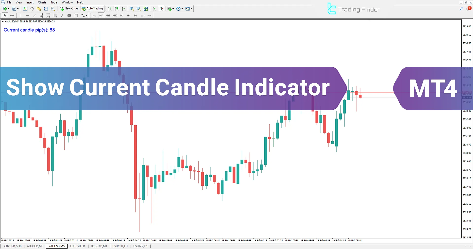Show Current Candle Indicator (SCC) for MetaTrader 4 Download - Free - TradingFinder