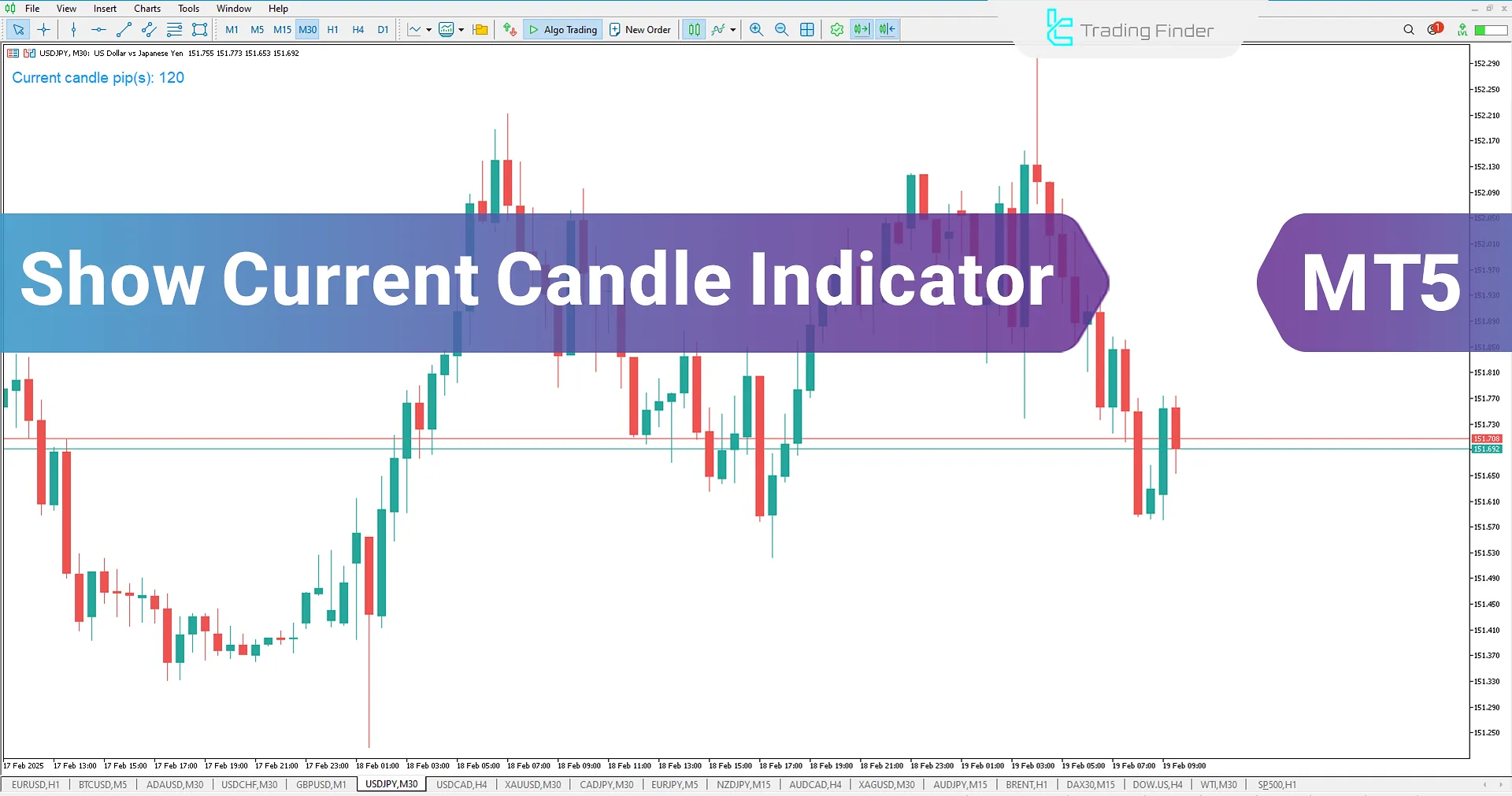 Show Current Candle (SCC) Indicator for MetaTrader 5 Download – Free – [Trading Finder]