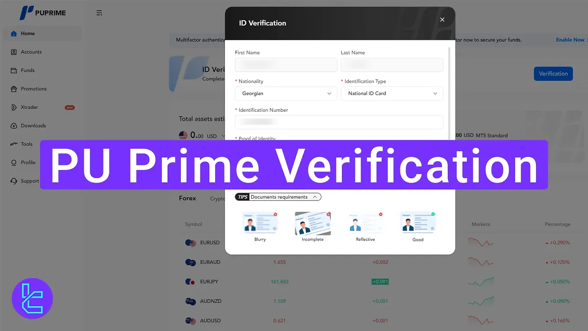 PU Prime Verification 2025 [Document Review within 24 Hours]