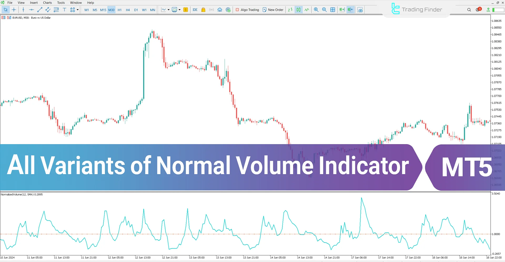 All Variants of Normal Volume Indicator MT5 Download - [TradingFinder]