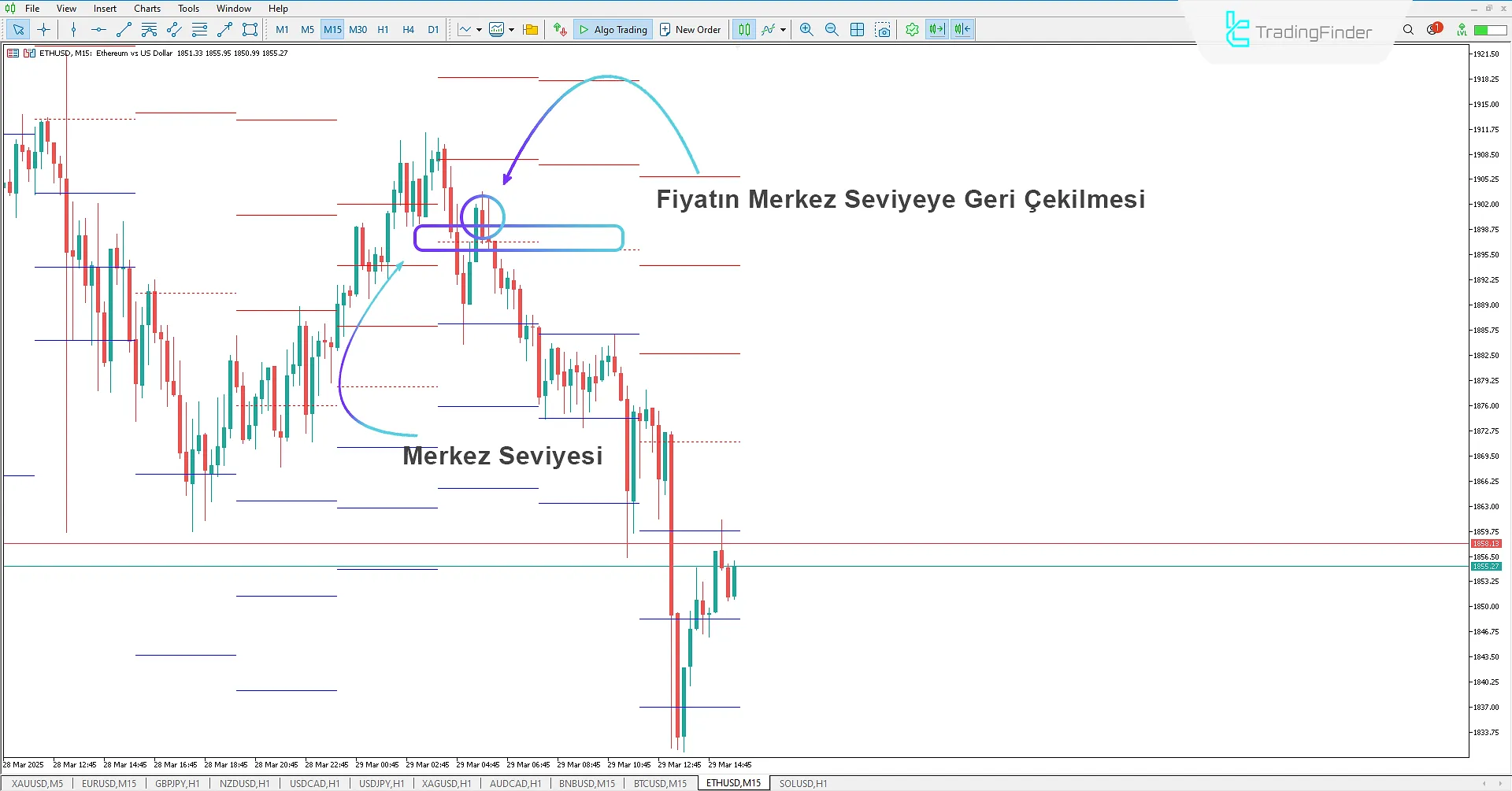 RSI Seviyeleri Göstergesi MetaTrader 5 için İndir - Ücretsiz - [TradingFinder] 2