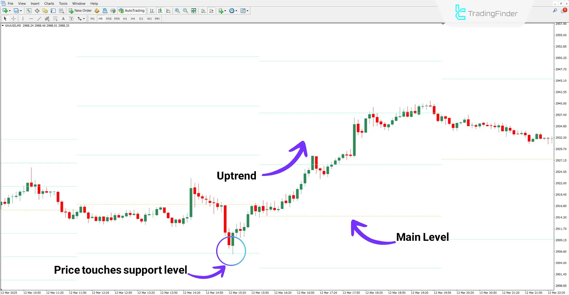Bullish trend analysis using MFI Levels Indicator