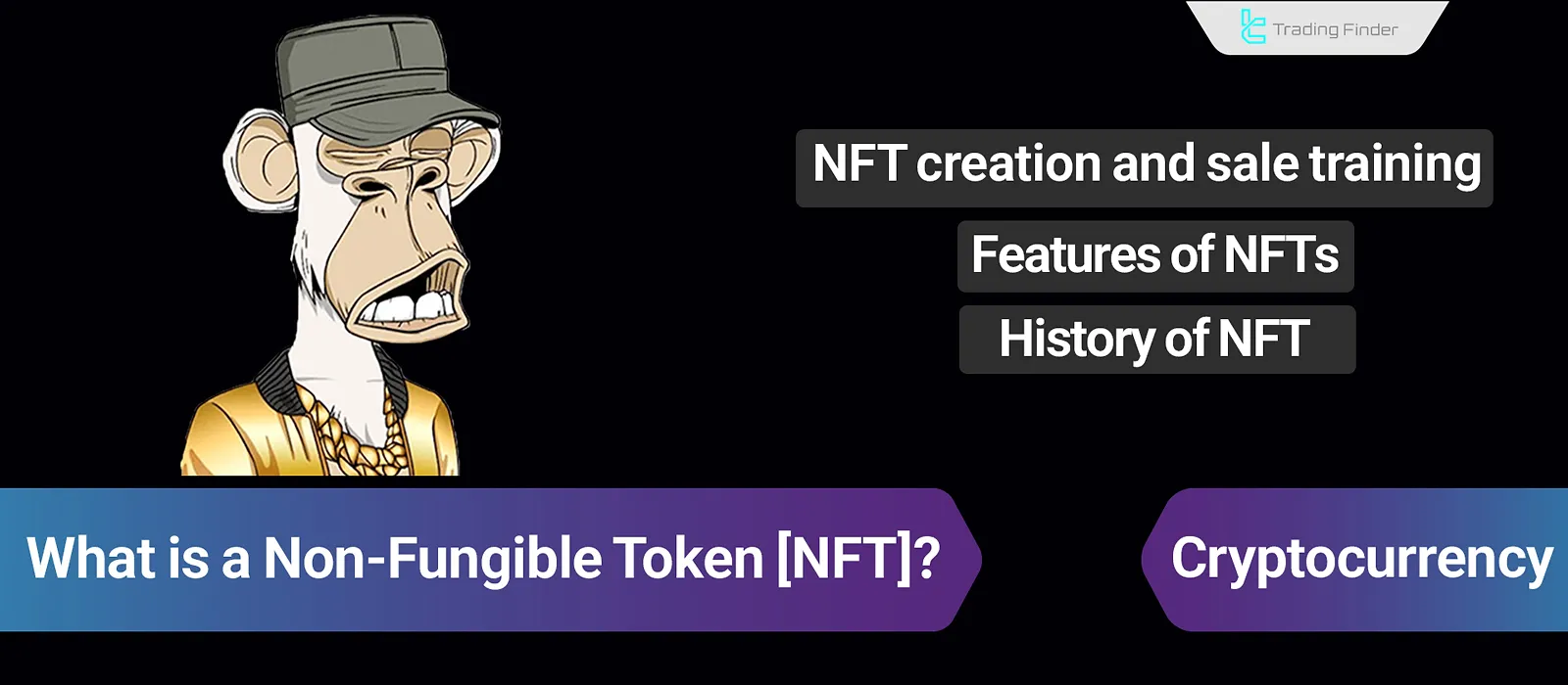 NFT (Non-Fungible Token)