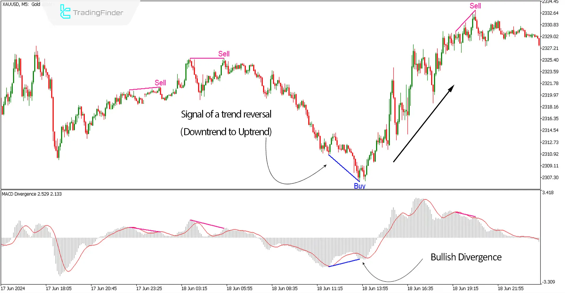 MACD Divergence Indicator for MetaTrader5 Download - Free - [TF Lab] 2