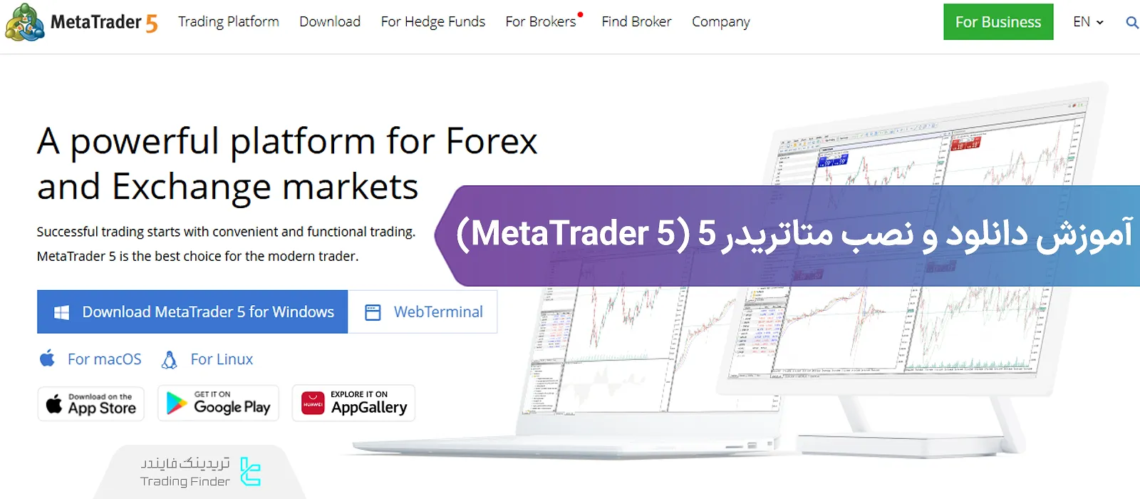 آموزش دانلود و نصب متاتریدر ۵ (MetaTrader 5)؛ اندروید، iOS، مک، ویندوز MT5