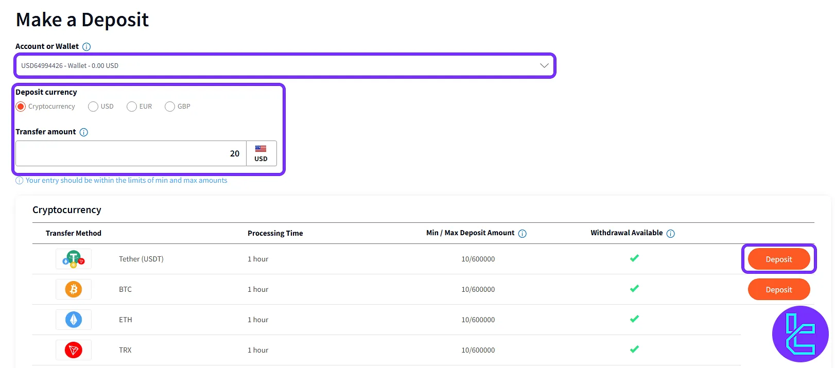 Entering transaction details for the FXTM TRC20 funding