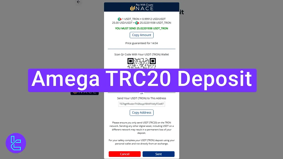 Amega TRC20 Deposit 2025 [3-Step Process, Instant Funding]